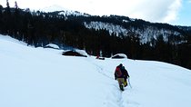 Kedarkantha Trek