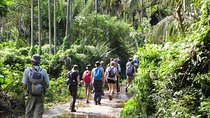 Private overnight adventure tour to knuckles and Meemure village with Camping