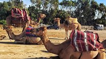 Tangier Private Day Tour