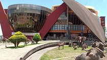 24 Hours in Arusha—Arusha Museum, Cultural Heritage, Maasai Market, Shanga