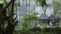 Private full-day tour with hot spring