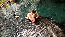 The Hot Springs 