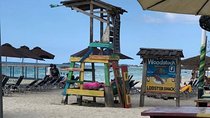 PREMIUM - Negril Highlights Tour from Negril - Food & Drinks Included 