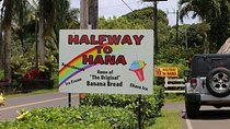 Private Halfway to Hana Tour