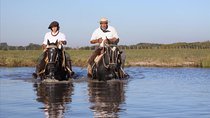 Shore Excursion:Small Group Estancia Tour to San Antonio de Areco