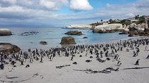 Private Cape Peninsula Tour - Cape Point, Cape of Good Hope sightseeing