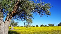 Greece Golden Circle! From Athens to Athens 10Days Private Land Tour