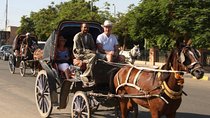 Aswan City Tour By Horse And Carriage