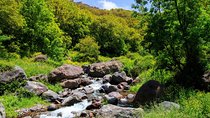 Day trip to Atlas mountains waterfall & Agafay camel Ride experience