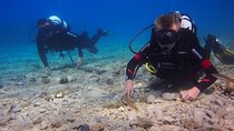 BRELA Bikini Dive *Try SCUBA DIVING*