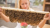 Kona Tour: Bee Farm, Kona Coffee, and National Historical Parks