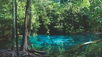 Kayaking in Ao Thalane - Discover the Mangrove life