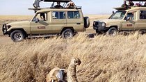 8 Days Tanzania Wildlife Safari Experience 