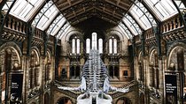Natural History Museum London - Exclusive Guided Museum Tour