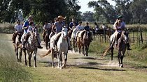Buenos Aires Super Saver: City Tour, Gaucho Day at a Farm & Tango Dinner-Show