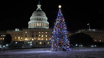 Holiday Lights Tour of Washington DC and Old Town Alexandria