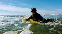 Lisbon Bodyboard Adventure