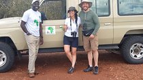 2-Days Mikumi National park safari