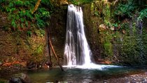 Full Day Hiking Faial da Terra (Min. 2 persons)