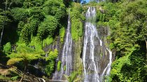 North Bali Country Side Tours