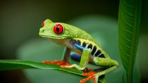 Natura Eco Park Admission
