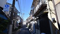Tokyo Photogenic spots visiting tour 