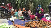 Ha Giang Ba Be Lake Tour 7-Day