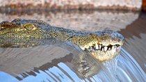 St Lucia Isimangaliso Boat Safari Day Tour from Durban 