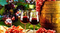 Douro Valley Private Wine Tour from Lisbon