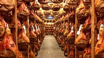 Cheese dairy farm, winery, liqueurs and spirits, ham and sausage factory