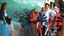 Sea Turtle Snorkeling Ecofriendly Tour from Cancun & Riviera Maya