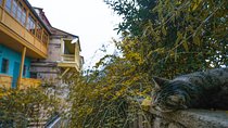 Classic Tbilisi Walking Tour