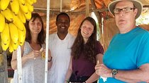 Private Montego Bay City Highlights Tour