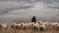 Private Tour to Kazbegi from Tbilisi