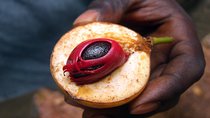 Zanzibar Spice Tour
