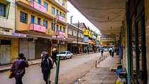 Full Day Nairobi City, Museums, Market, Food Experience and Giraffe Center Tour