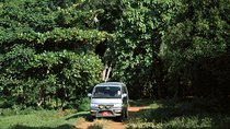 Sultan Panorama Tour