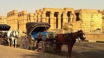 Luxor City Tour By Horse Carriage