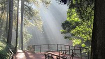 Bandung Private Tour Mountain Volcano and Hotspring ( Overland )