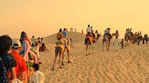 Camel Ride In Aswan + lunch 