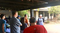 LA: Hollywood, DTLA & Santa Monica Full Day Walking & Metro Tour