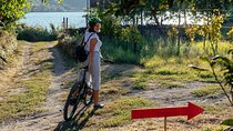 Naples Scenic pedal assisted Ride to a Local Vineyard with Meal