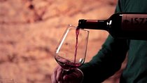  Guided tour and tasting at La Cantina Frrud - Wine Museum
