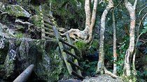 Skeleton Gorge Hike for Morning