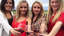 Santa Barbara's Original Afternoon Winery Tour