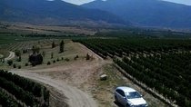 Bulgarian wines in 4 days: The gift of Dionysus