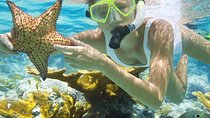 Diving & Snorkeling Boat trip to Tiran Island Sharm El Sheikh