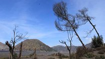 Bromo panorama tour to avoid the crowds - start Malang // 1 day tour