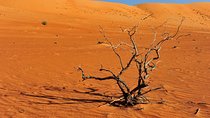 Camping Tour 7 Days Package 