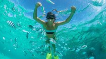 Explore Coral & Raya Islands – Speedboat Day Trip from Phuket